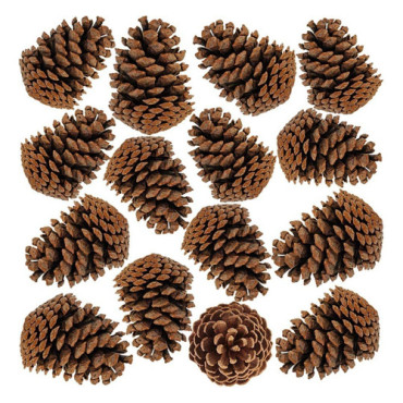 Pinha De Natal Natur...